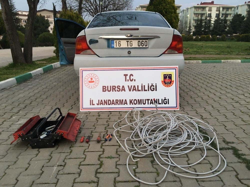 Sokağa çıkma yasağını fırsat bilen hırsızlar yakalandı 