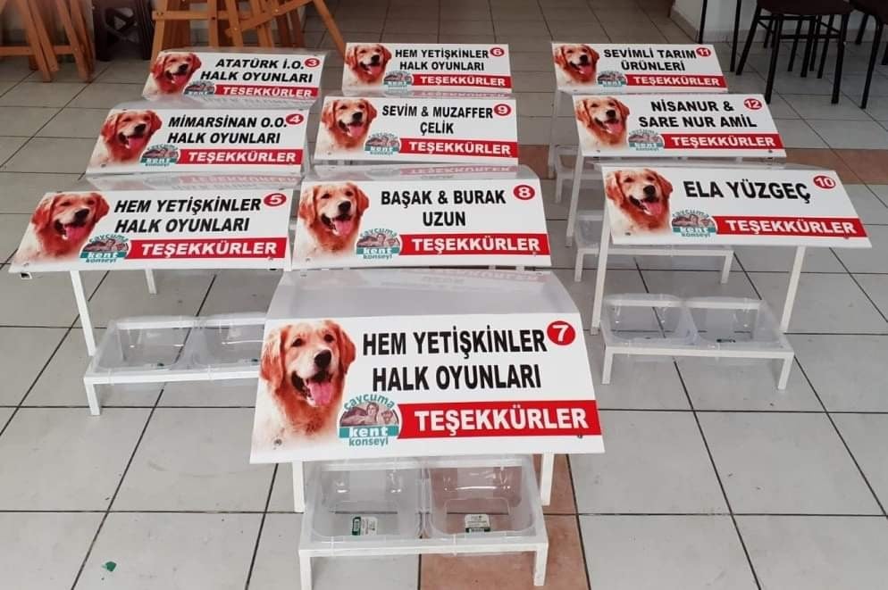 Sokak hayvanları için aş evleri yapıldı 