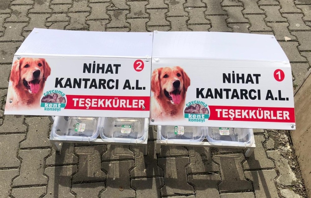 Sokak hayvanları için aşevleri yapıldı 