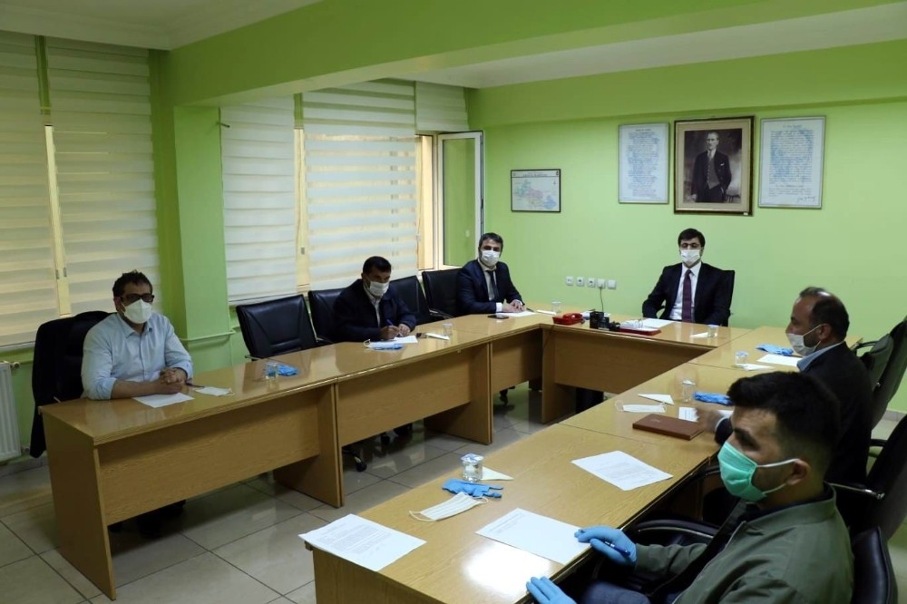 Sokak hayvanları için beslenme odağı oluşturulacak 