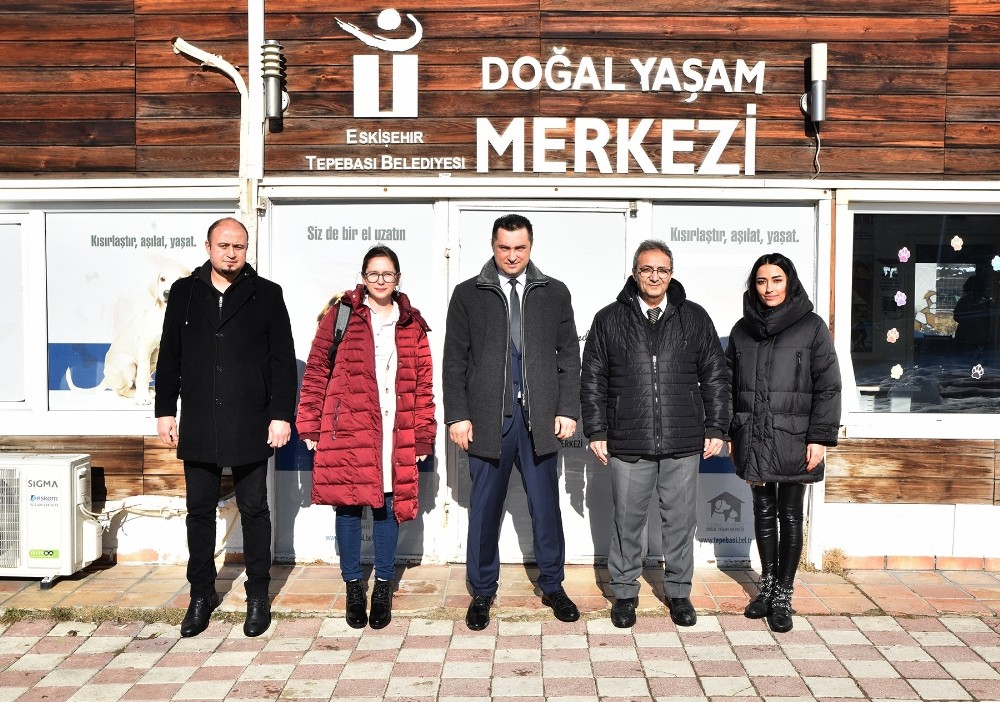 Sokak hayvanları için iş birliği 