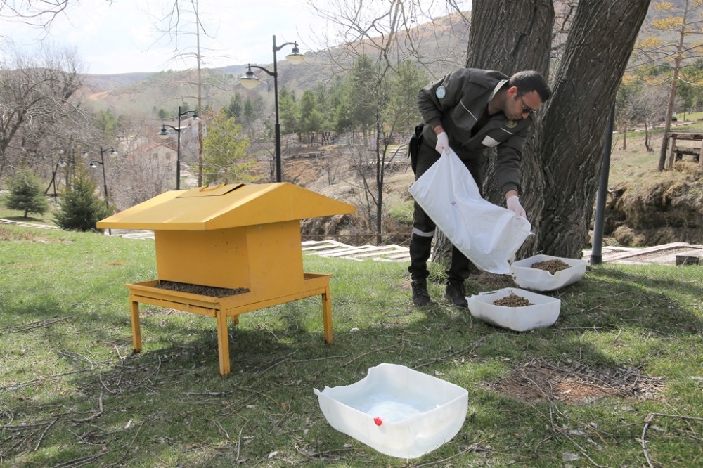 Sokak hayvanları için mesire alanlarına yem ve su bırakıldı 