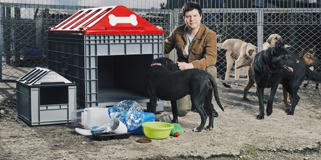 Sokak hayvanları için önemli projede imzalar atıldı