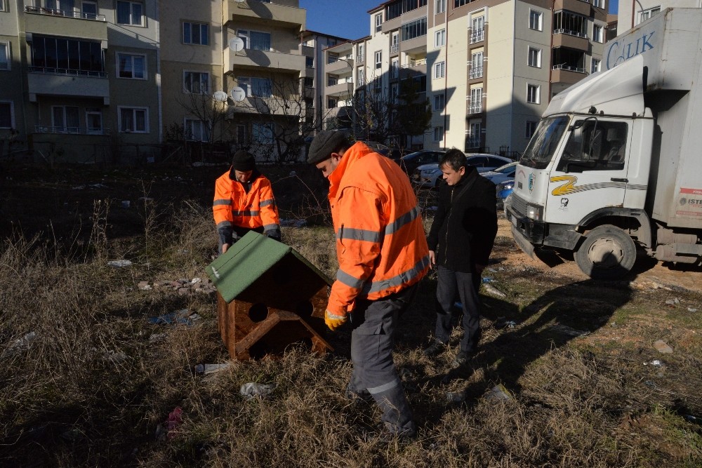 Sokak hayvanları için yapılan kulübeleri uygun alanlara bırakıldı 