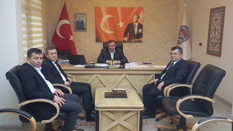 Sokak hayvanları için yaşam alanı 