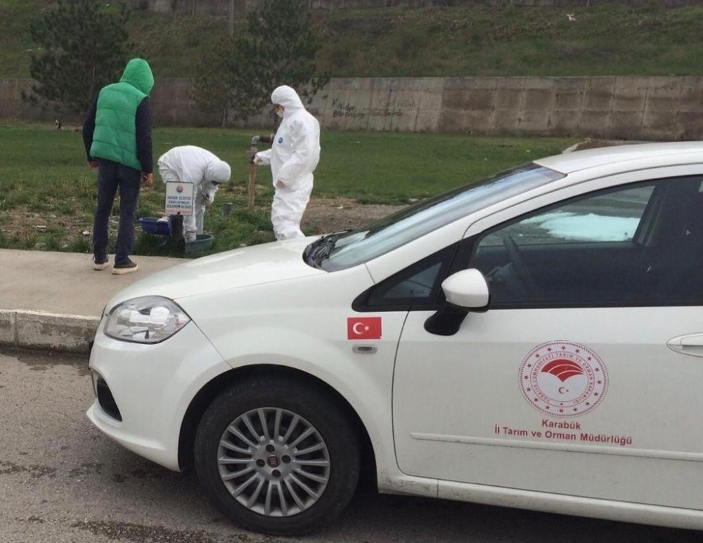Sokak hayvanları için yem ve su bırakıldı 
