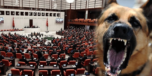 Sokak hayvanları ile ilgili taslak çalışması Meclis'e ulaştı