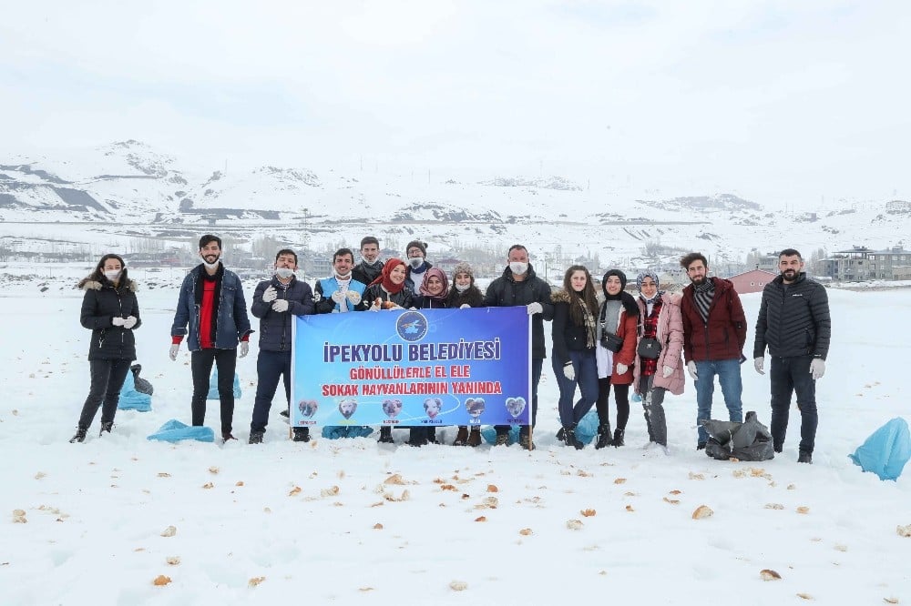 Sokak hayvanları İpekyolu’nda sahipsiz kalmıyor 