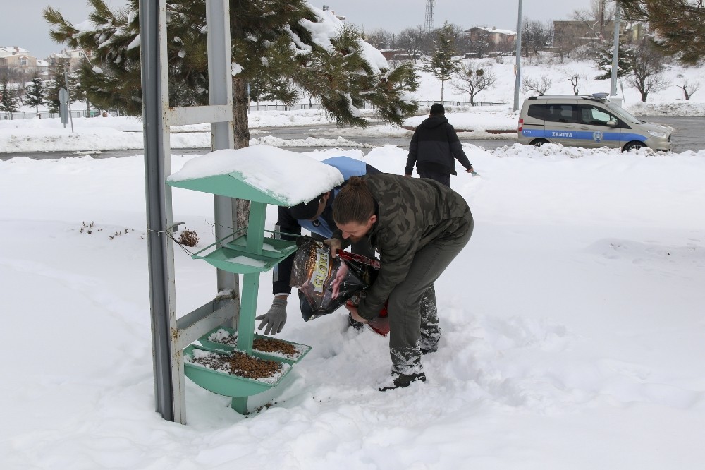 Sokak hayvanları unutulmadı 