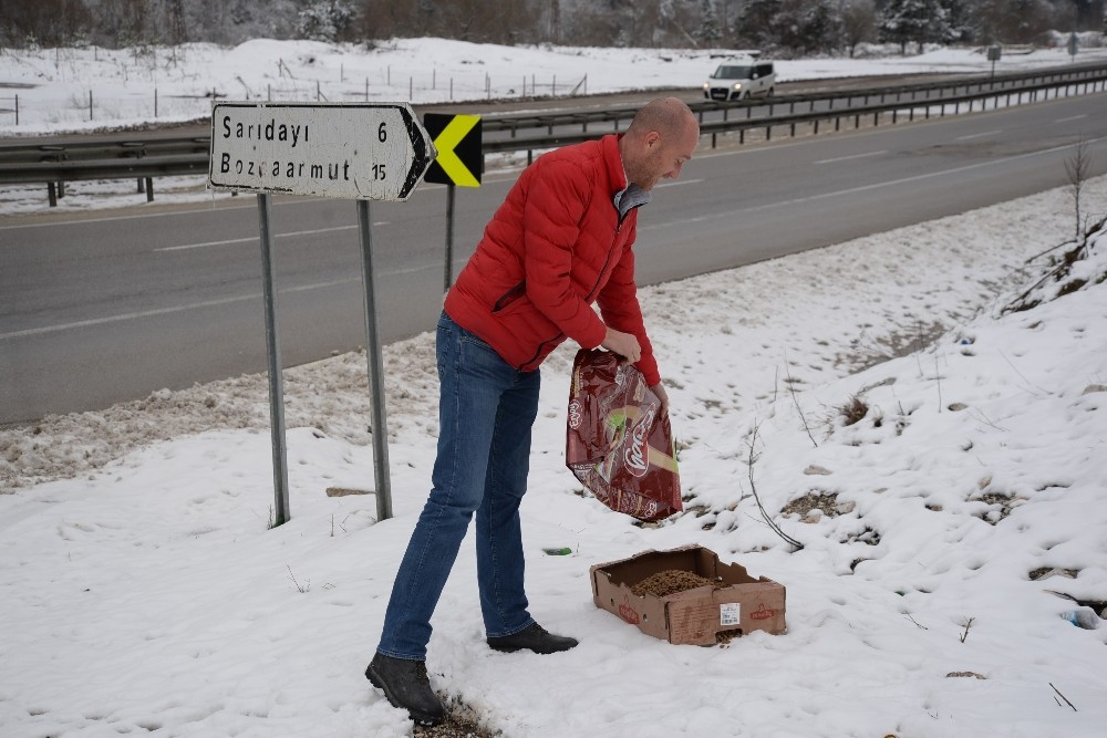 Sokak hayvanları unutulmadı 