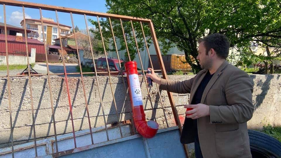 Sokak hayvanları unutulmadı 