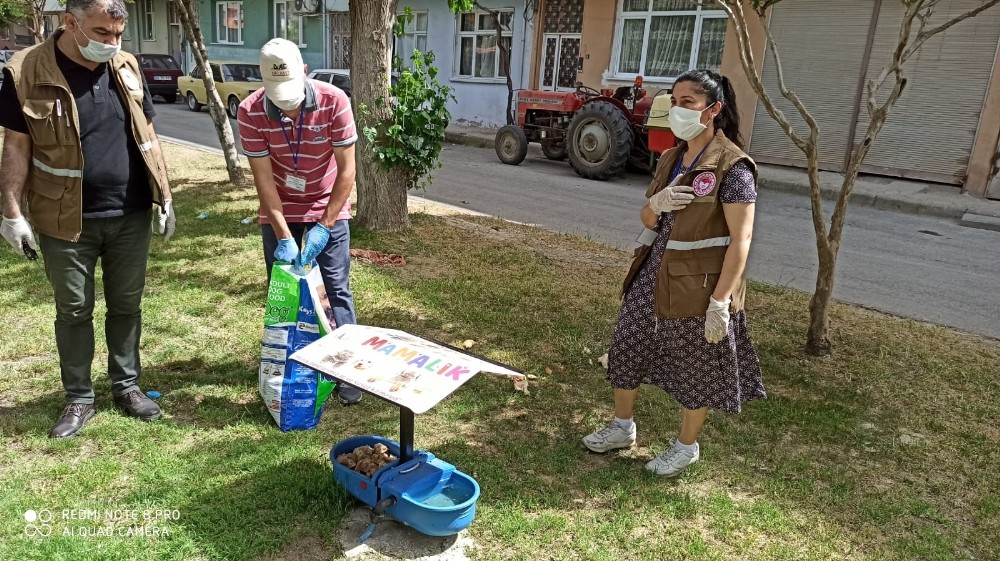 Sokak hayvanları unutulmadı 