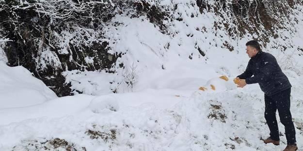 Sokak hayvanları unutulmadı