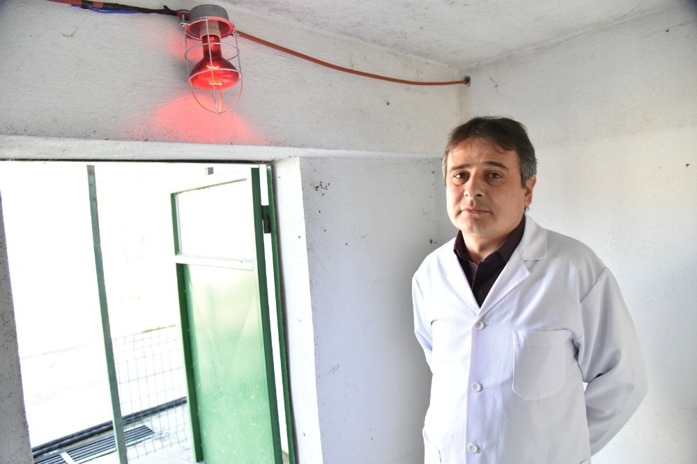 Sokak hayvanları üşümesin diye barınakların içine ısıtıcılar konuldu 