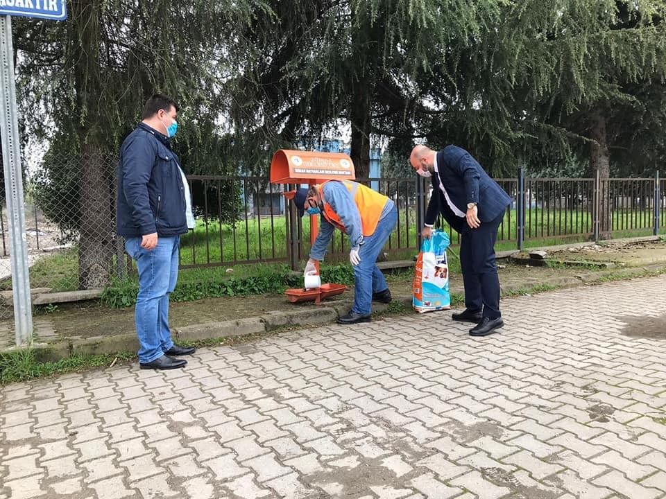 Sokak hayvanlarına düzenli mama ve su veriliyor 
