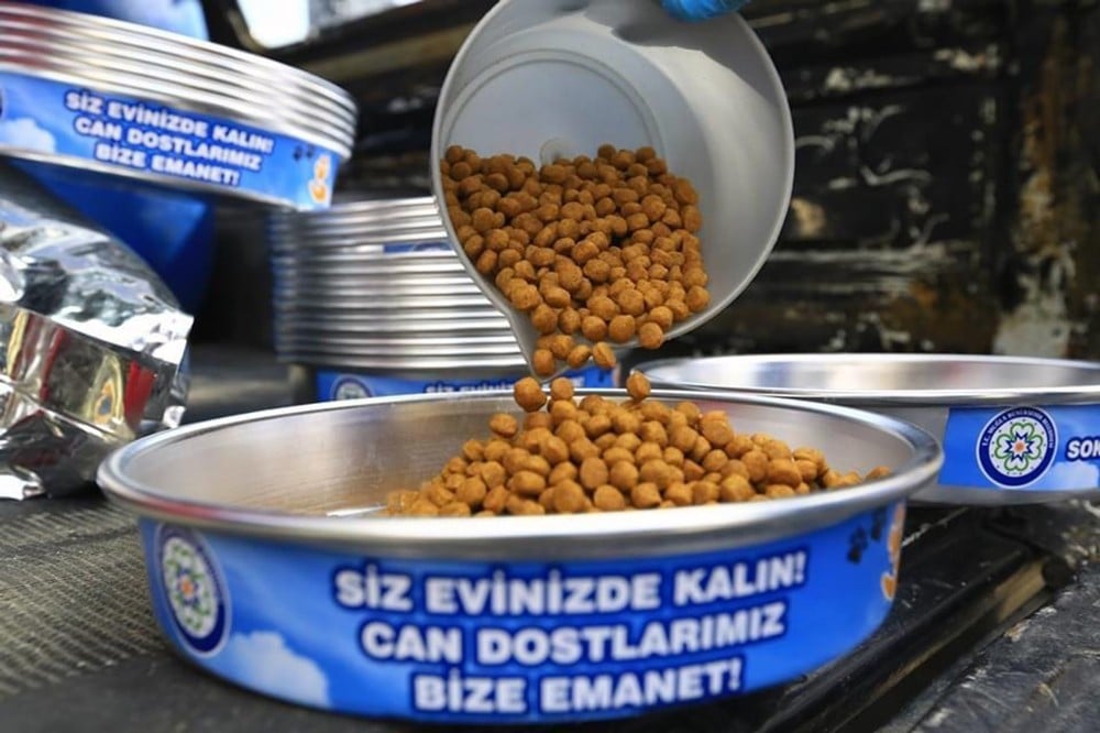 Sokak hayvanlarına yem takviyesi 