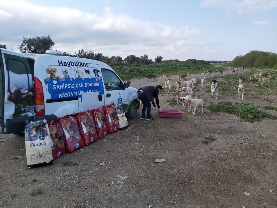 Sokak hayvanlarını unutmuyorlar 
