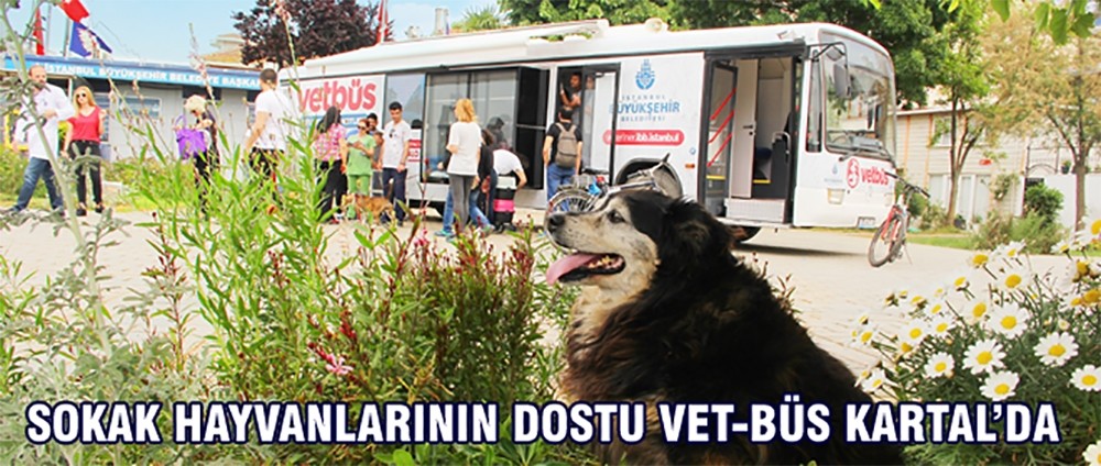 Sokak hayvanlarının dostu VET-BÜS Kartal’da 