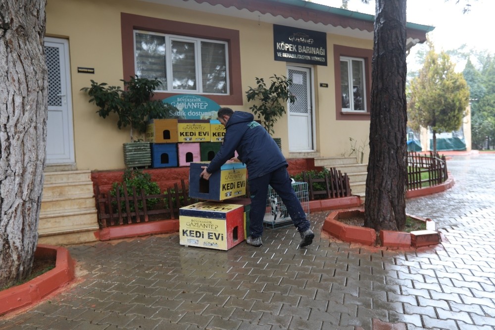 Sokak kedileri kışın üşümeyecek 