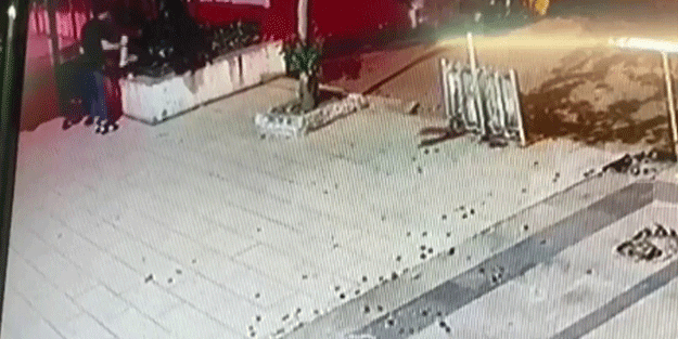 Sokak kedisini yerden yere vurdu! İnsan görünümlü şahıs tepki çekti