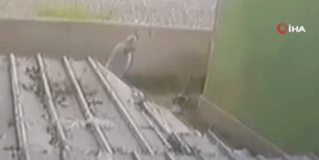 Sokak köpeğini öldüresiye döven adamın cezası belli oldu