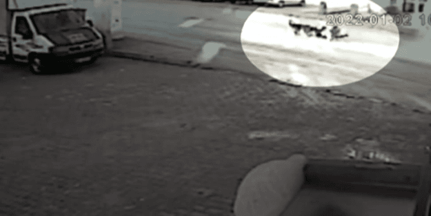 Sokak köpekleri, 10 yaşındaki çocuğun bacağını parçaladı! Başıboş hayvanların çiğ etle beslendikleri ortaya çıktı