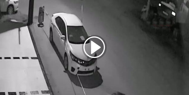 Sokak köpekleri arabayı paramparça etti