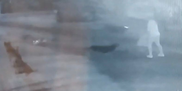 Sokak köpekleri dehşeti yaşattı! Korku dolu anlar anbean böyle kaydedildi