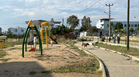 Sokak köpekleri yaralamıştı! 7 yaşında evden çıkmak istemiyor