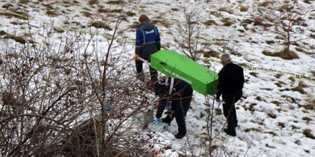Sokak köpeklerinden okul çıkışı dehşet! 1 öğrenci hayatını kaybetti