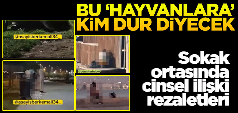 Sokak ortasında cinsel ilişki rezaletleri! Bu ‘hayvanlara’ kim dur diyecek?