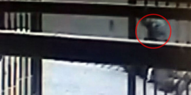 Sokak ortasında vahşet! Defalarca...