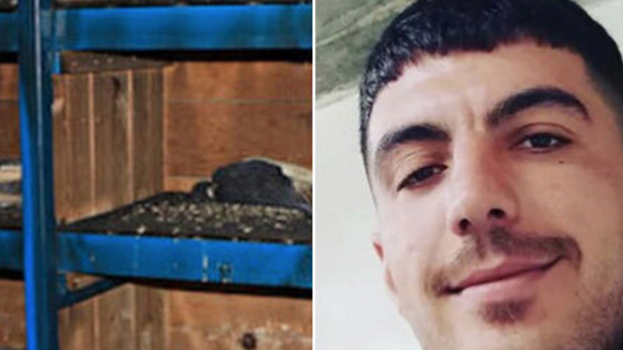 Kuş dolabı cinneti: Sokak ortasında saldırdı, kurşun yağdırdı!