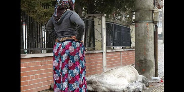 Sokak ortasında yürek sızlatan görüntü! Bir anda yere yığıldı