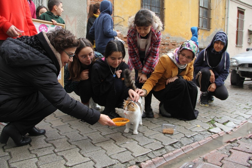 Sokak sokak kedi maması dağıttılar 