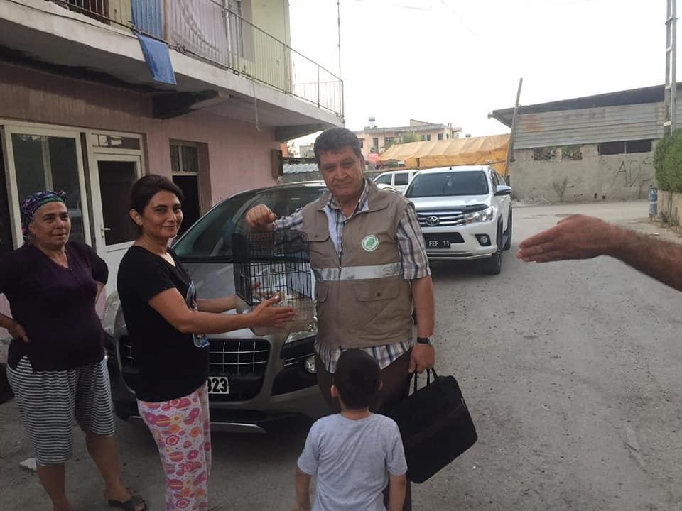 Sokakta bulunan peçeli baykuş doğaya salındı 