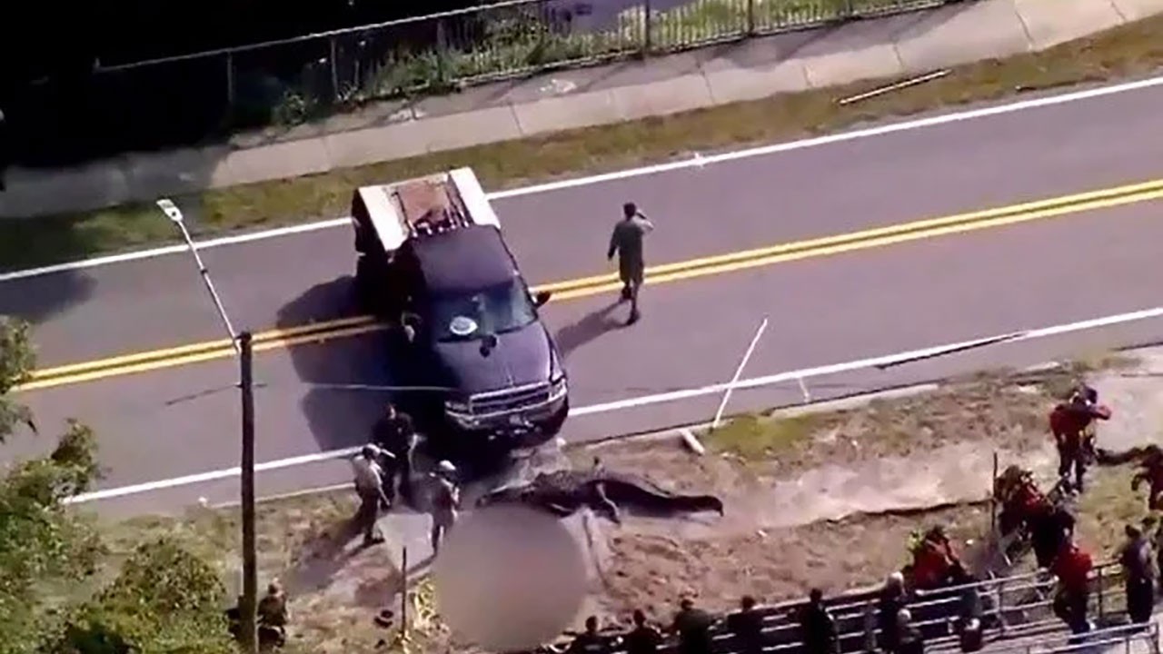 Sokakta görenlerin kanı dondu! Dev timsah, öldürdüğü adamı ağzına alıp sokaklarda böyle dolaştı