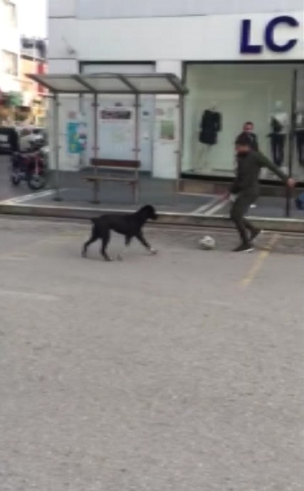 Sokakta kimseyi bulamadı, köpekle futbol oynadı 