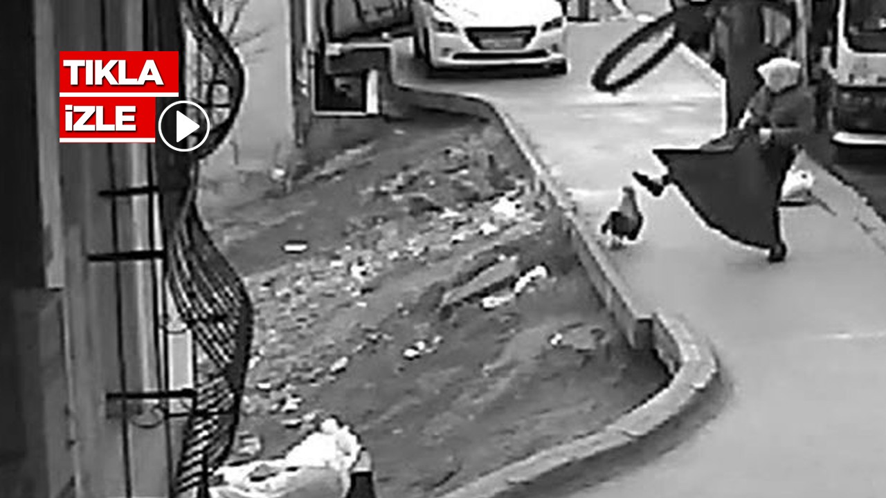 Sokakta yürüyen kadına horoz saldırdı! O anlar kamerada