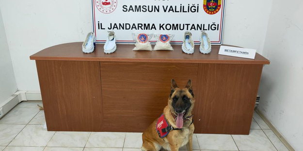 Şoke eden görüntü! Ayakkabıların içine gizlenmiş halde bulundu