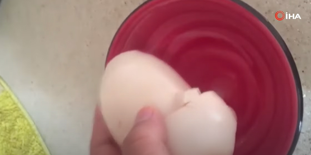 Şoke eden görüntü! Tavuğun altından aldığı yumurtanın içinden bakın ne çıktı!