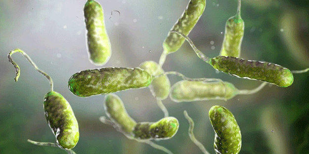 Şoke eden haber! Et yiyen bakteri alarmı