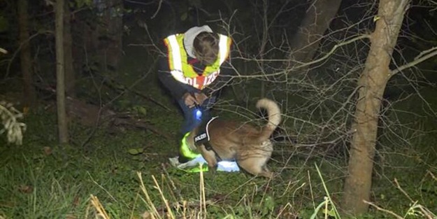 Şoke eden olay! Almanya'da yamyam alarmı