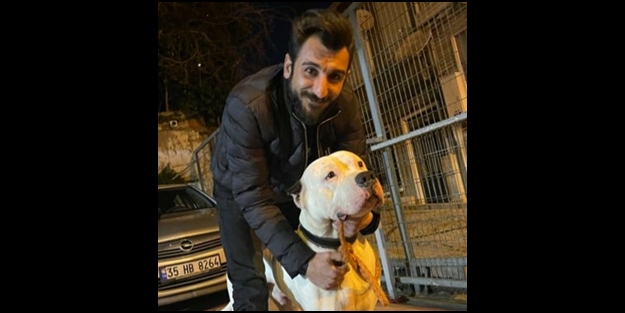 Şoke eden 'suç' itirafı: Devletin elindeki saldırgan ve yasaklı pitbull'ları kaçırarak sokaklara saldıkları ortaya çıktı!