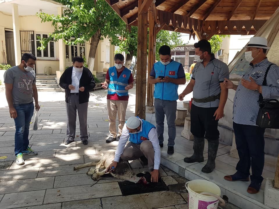 Söke Kocacami’de şükür kurbanı kesildi 