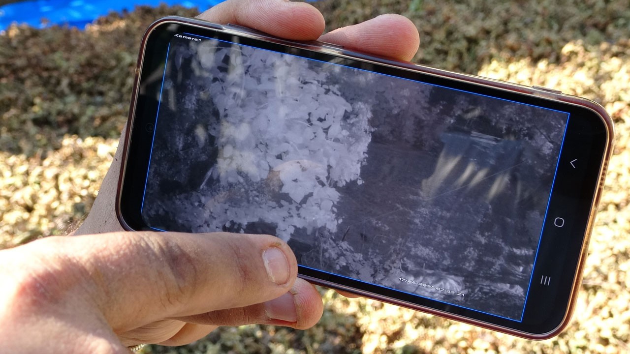 Şoke oldu! Fındık hırsızı sandı gerçek ortaya çıktı