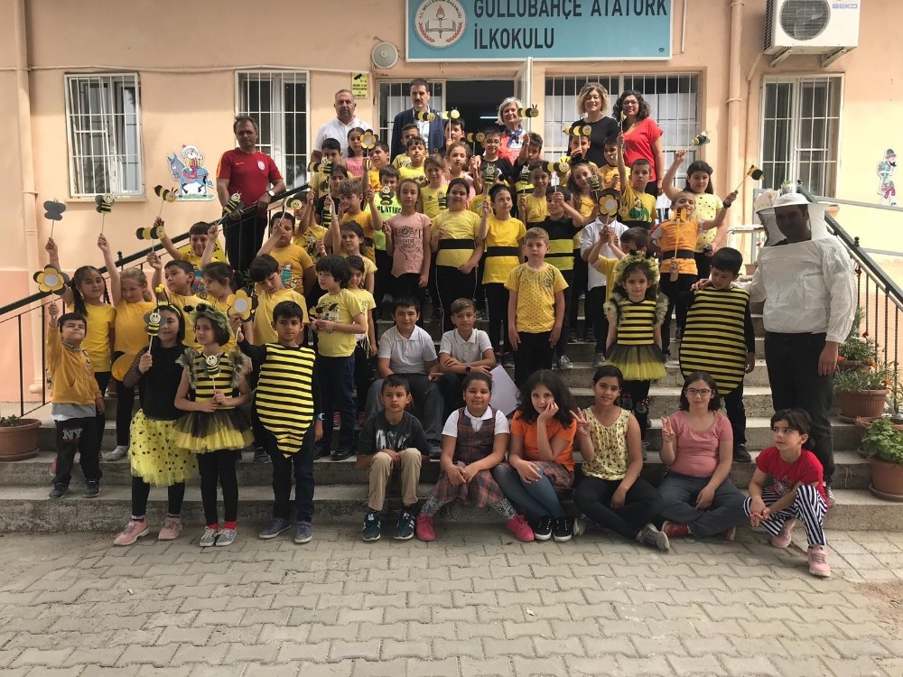 Söke TEMA arılara dikkat çekti 