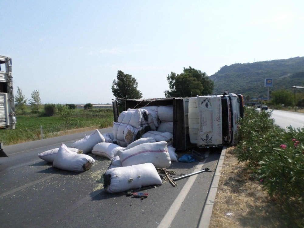 Söke’de baharat yüklü kamyon devrildi 
