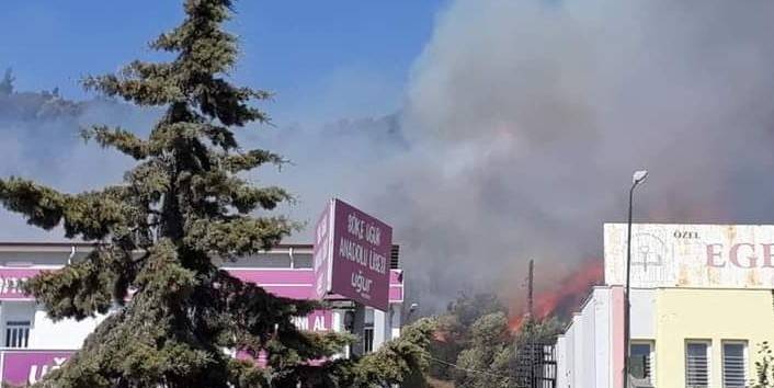 Söke'de orman yangını!