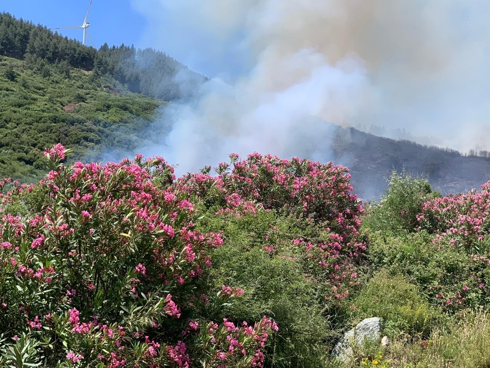 Söke’deki yangın Milli Park’a sıçramadan söndürüldü 